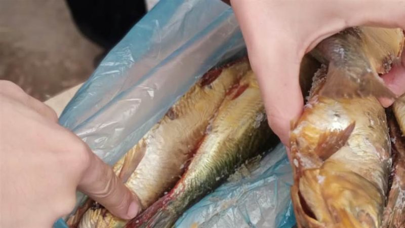 جانب من المضبوطات