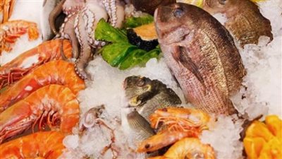 سعر السمك اليوم الثلاثاء بعد آخر ارتفاع 