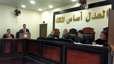 جنايات دمنهور تقضى بالسجن  15 عاما لميكانيكى وسائق