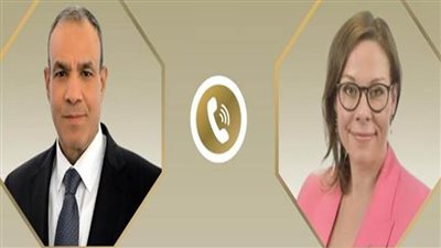 وزير الخارجية: حل الدولتين يظل المسار الوحيد لتحقيق السلام في المنطقة