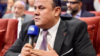 اتحاد شباب المصريين بالخارج: القمة العربية فرصة لمواجهة التحديات وإعمار غزة