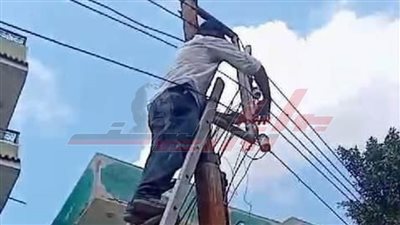 حملة موسعة لصيانة منظومة الإنارة وتطوير شبكة الكهرباء بشوارع كفر الشيخ