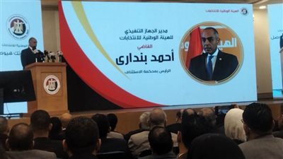 بنداري يستعرض اختصاصات الهيئة الوطنية للانتخابات والجهاز التنفيذي لها 