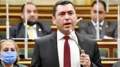 صناعة النواب: التمويل المرن وتحفيز رأس المال المخاطر يدفعان القطاع للأمام