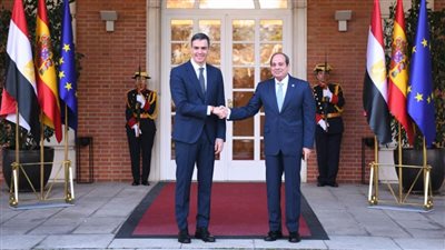 عاجل| الرئيس السيسي عن موقف إسبانيا بشأن غزة: تاريخي وشجاع.. ويوجه الدعوة لافتتاح 