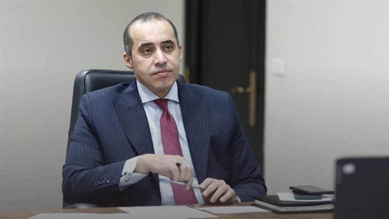 المستشار محمود فوزي