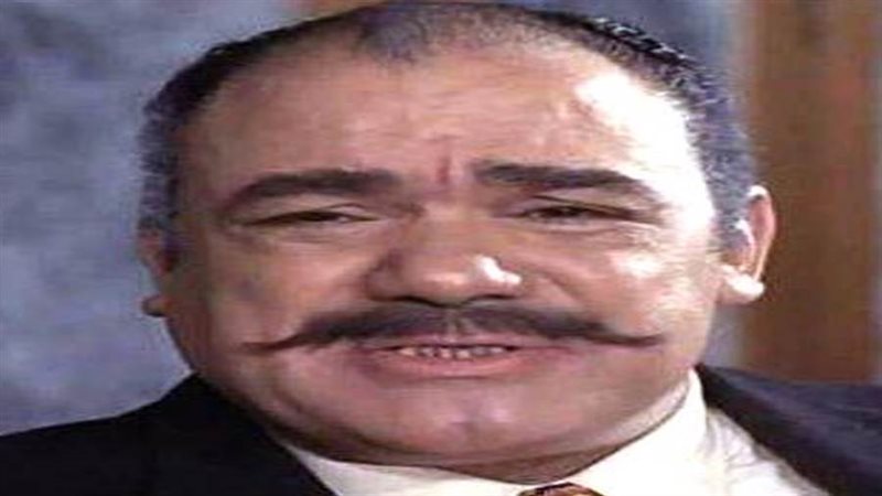 الفنان محمد رضا