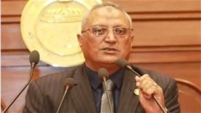 برلماني: لقاء السيسي برئيس 