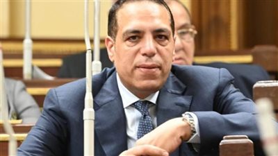 برلماني: الرؤية الفلسطينية لإعادة إعمار غزة تحبط مخططات تهجير الفلسطينيين