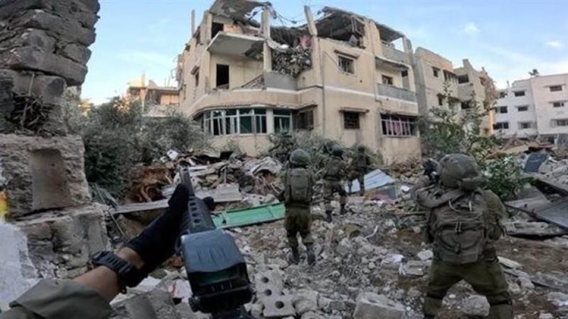 بوابة روز اليوسف