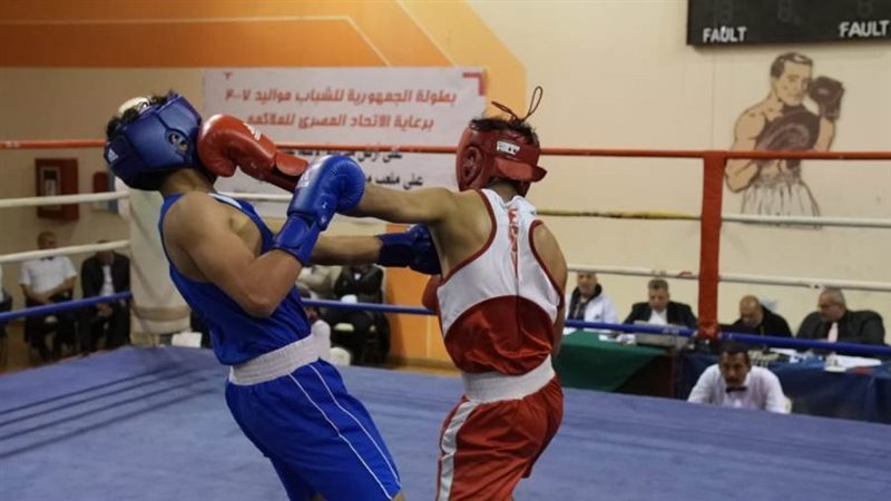 بوابة روز اليوسف