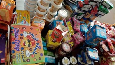 بالصور.. ضبط 2425 قطعة مواد غذائية منتهية الصلاحية في الغربية