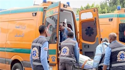 مصرع شخصين وإصابة 5 في حادث بأسوان