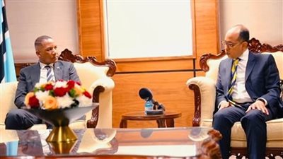 سفير مصر يقدم أوراق اعتماده إلى رئيس بوتسوانا