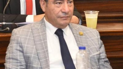 قيم النواب: رؤية مصر لإعادة إعمار غزة تضمن بقاء الفلسطينيين على أرضهم