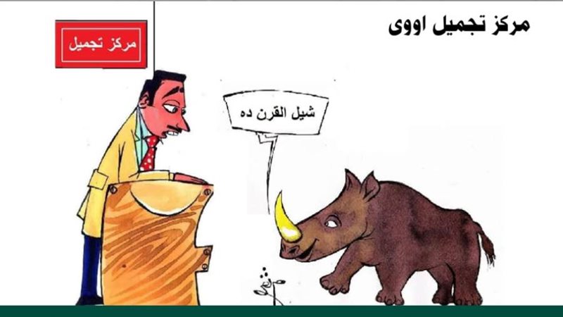 ريشة - ثروت مرتضى