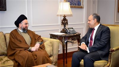 وزير الخارجية يؤكد الموقف المصري الداعم لاستقرار العراق 