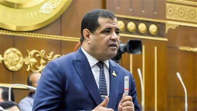 عضو بالشيوخ: معارض 