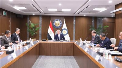 وزير البترول يوجه بوضع خطة لتسريع تنمية اكتشافات الغاز غير المنماة لزيادة الإنتاج وتقليل الاستيراد