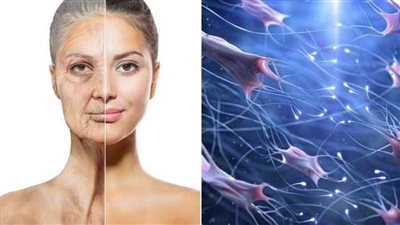 عاجل.. علماء يكتشفون 