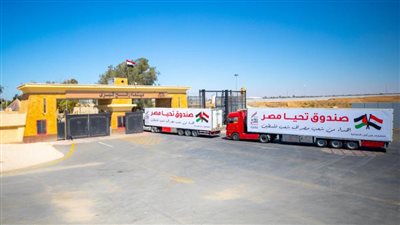 تحرك 195 شاحنة مساعدات للدخول إلى قطاع غزة من بينها 16 شاحنة وقود