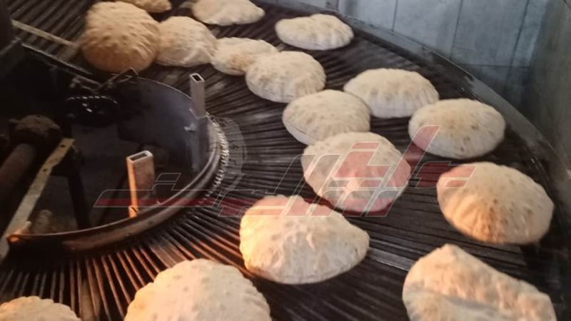 مخابز كفرالشيخ