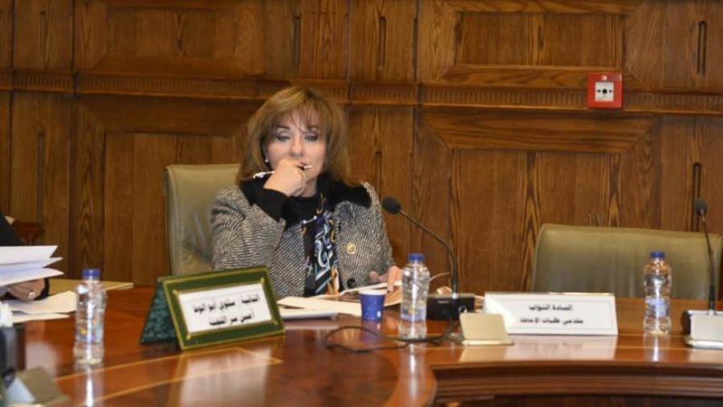 النائبة أماني الشعولي