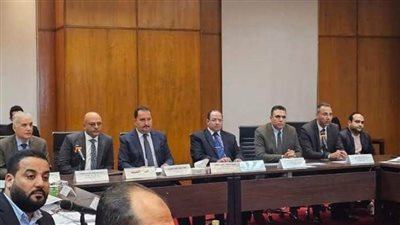 الكهرباء: إطلاق برنامج تدريبي لمأموري الضبط القضائي لمكافحة سرقة التيار وتحسين الخدمة