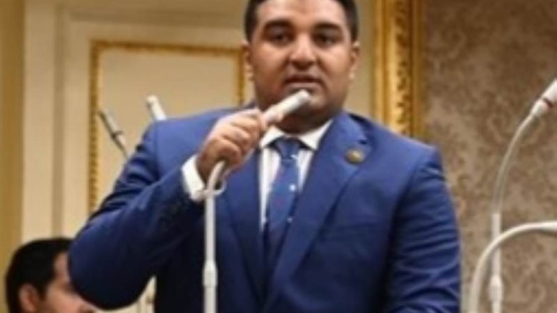 النائب محمود عصام