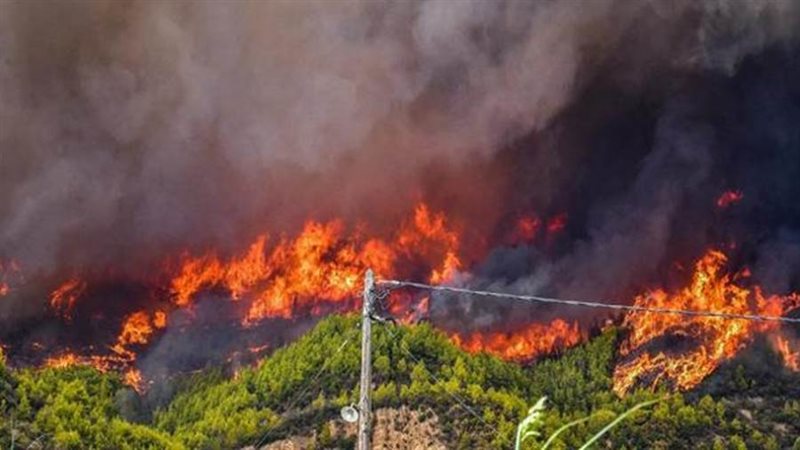 حرائق الغابات