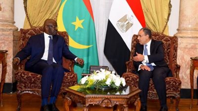 وزير الخارجية والهجرة يلتقي نظيره الموريتاني