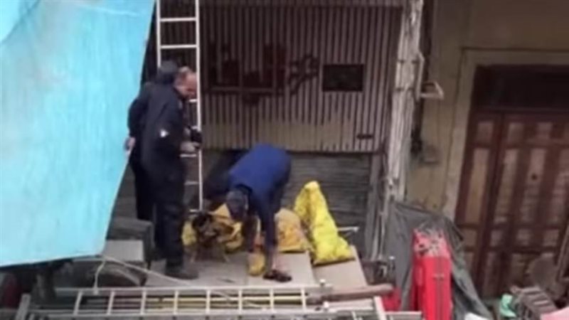 انقاذ كلب عالق ببورسعيد