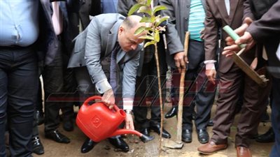 محافظ كفر الشيخ يزرع الأشجار المثمرة بمدرسة الرياض للتعليم الأساسي