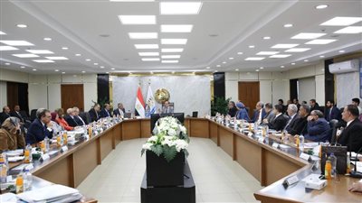 وزير قطاع الأعمال العام يترأس عمومية القابضة للأدوية لاعتماد نتائج أعمال 2023-2024