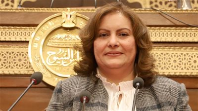 النائبة عايدة نصيف: القمة العربية الطارئة تأتي في توقيت حرج لحماية حقوق الفلسطينيين