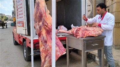 بسعر 260 جنيهًا.. سيارات لبيع اللحوم المدعومة بمركزي المنصورة والسنبلاوين في الدقهلية 