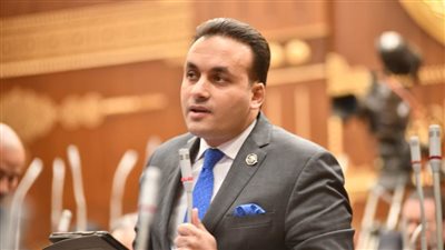 عضو بالنواب: القمة العربية دعمت حق فلسطين وإعادة الإعمار برؤية مصرية
