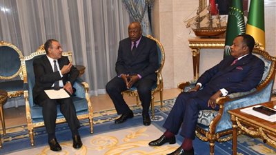 وزير الخارجية يسلم رسالة من الرئيس السيسي إلى رئيس جمهورية الكونجو