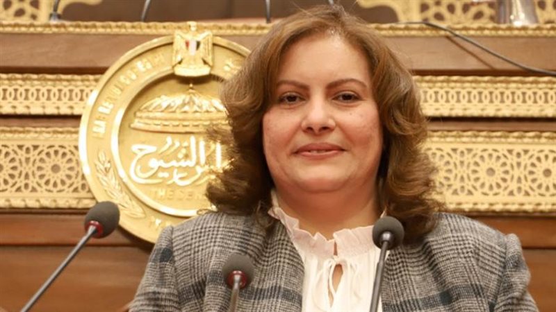 النائبة الدكتورة