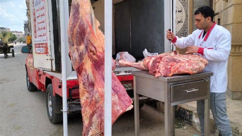 تنفيذ قوافل سيارات