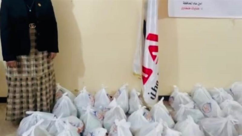 مبادرة حزب الريادة