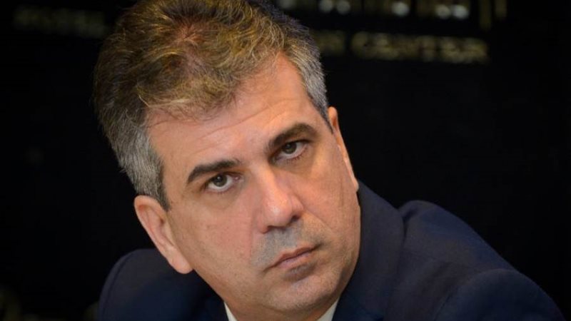 الوزير السابق إيلي