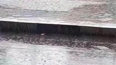 بالصور.. أمطار غزيرة في مراكز الغربية