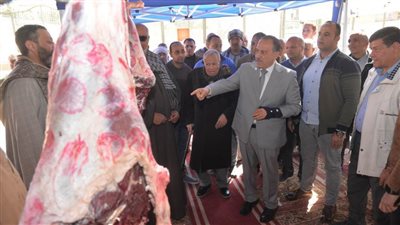 محافظ أسيوط يفتتح معرض 