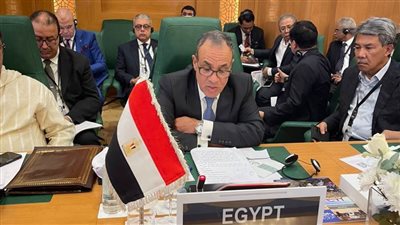 عاجل.. وزير الخارجية: مصر تناشد العالم الإسلامي الدعم المادي لخطة إعمار غزة 