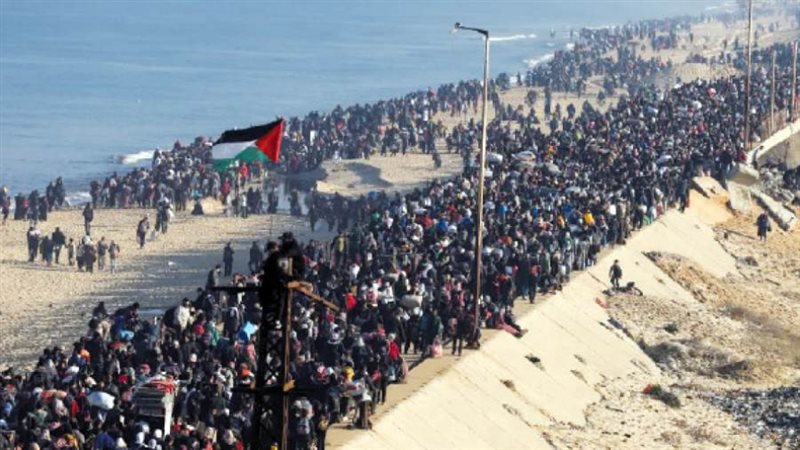 بوابة روز اليوسف