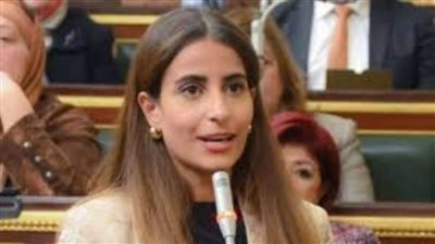 خارجية النواب: تصريحات الرئيس تؤكد أن «مصر»صمام أمان المنطقة وتحركاتها تأتي وفق رؤية استراتيجية