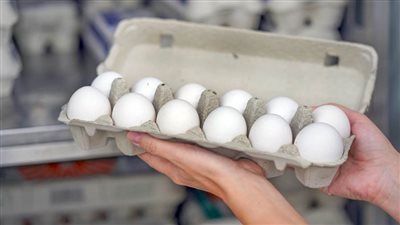 العدل الأمريكية تفتح تحقيقا مع كبار منتجي البيض بعد ارتفاع الأسعار