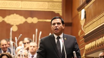 اللواء طارق نصير: الاحتفال بذكرى يوم الشهيد نقطة مضيئة في بناء الجمهورية الجديدة