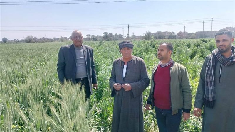 وكيل زراعة أسيوط